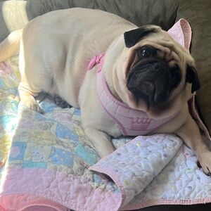 Meet your Posher, Justine